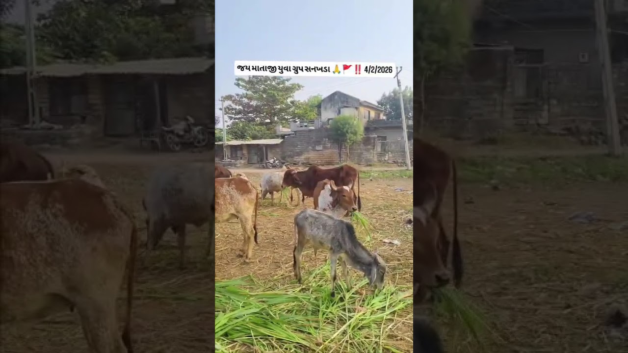 Jay Gaumata 🙏