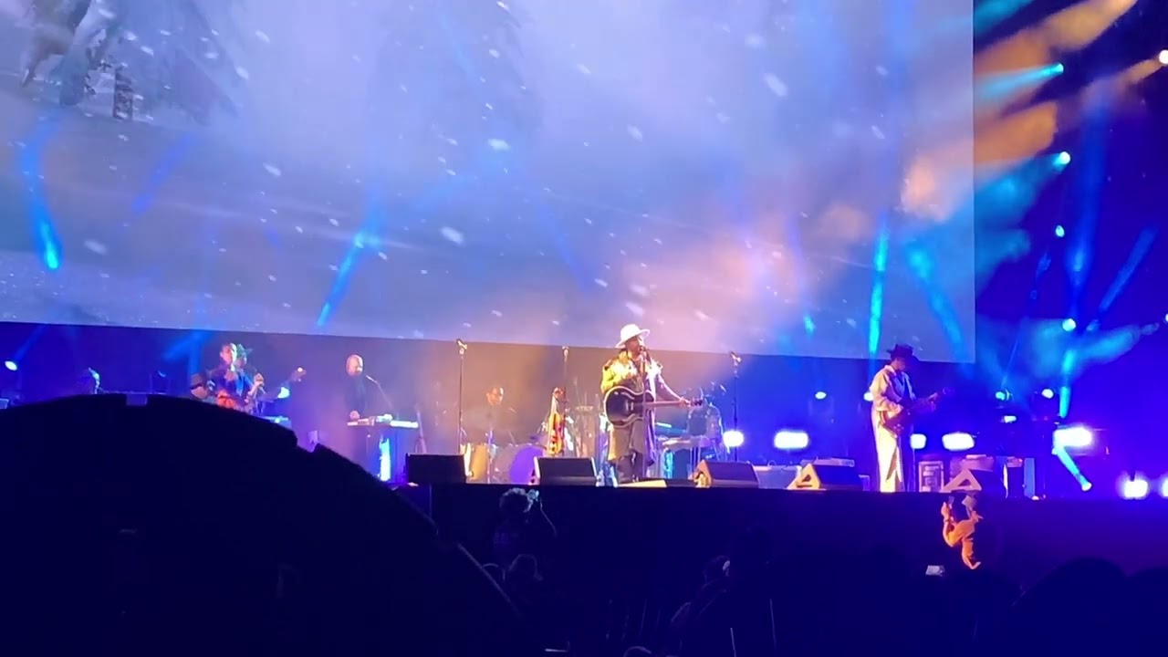 D’Angelo Performs Unshaken - The Songs of Red Dead Redemption 2