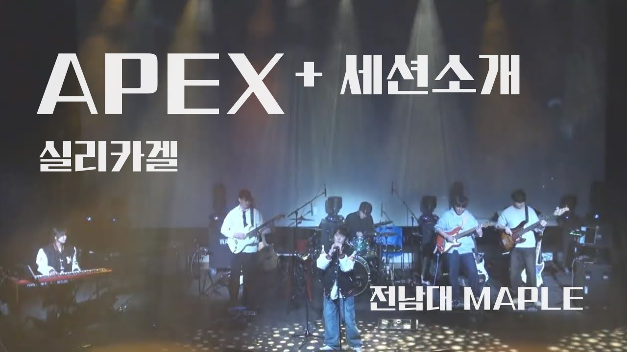 Apex- 실리카겔 | band cover | cover by maple
