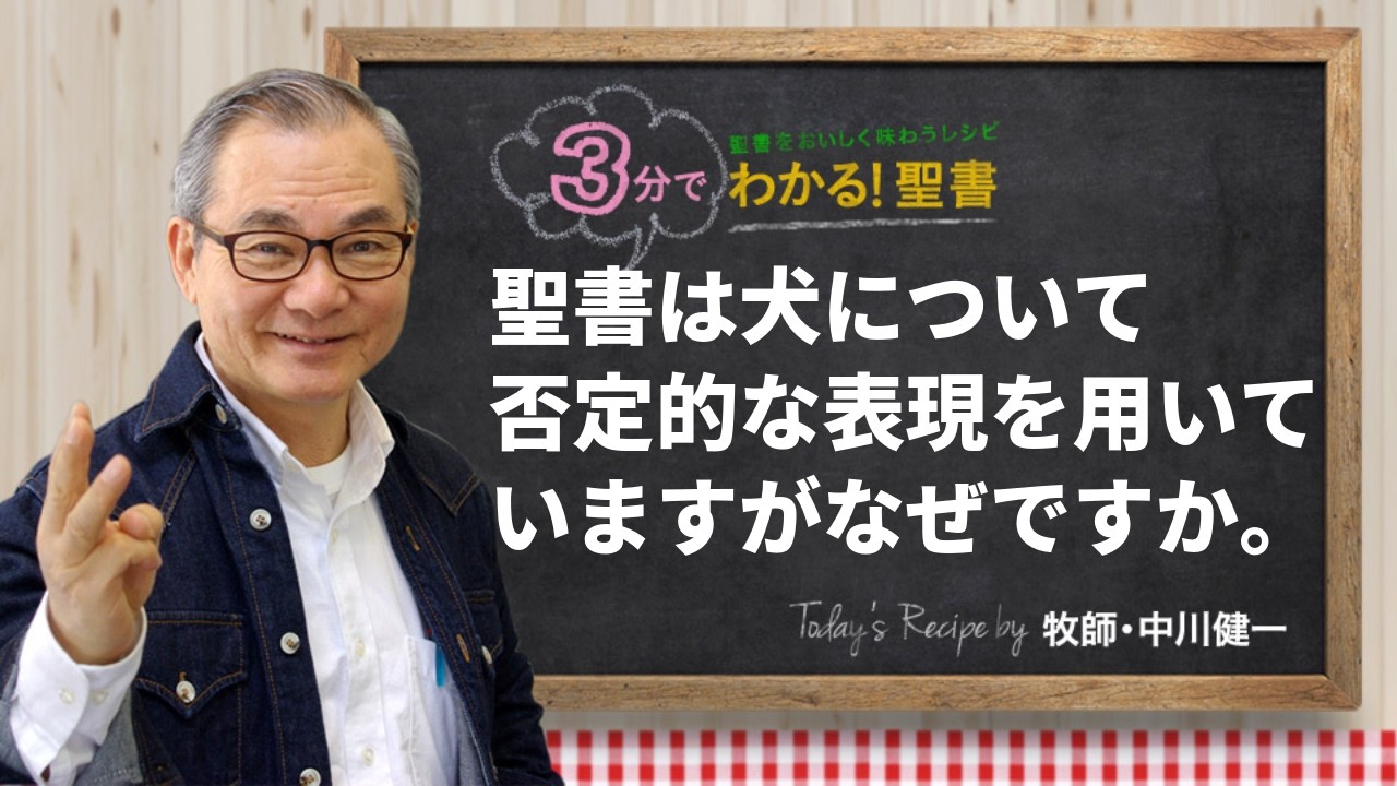 Q487 聖書は犬について、否定的な表現を用いていますが、なぜですか。【3分でわかる！聖書】
