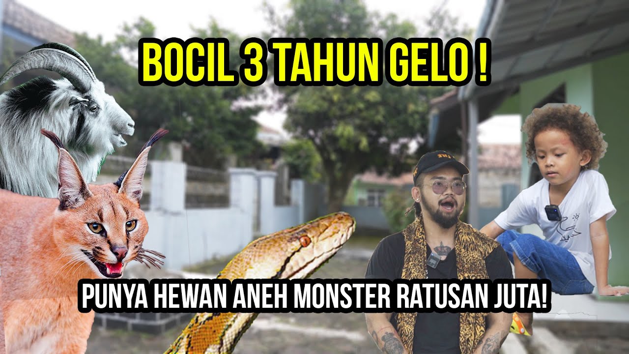 GAK MUNGKIN! ADA BOCIL UMUR 3 TAHUN PUNYA HEWAN ANEH MONSTER RATUSAN JUTA!#AudreyA #KINGOFTHEJUNGLE