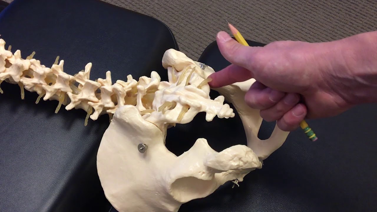 Dr. Becker Tailbone Pain / Coccyx Video