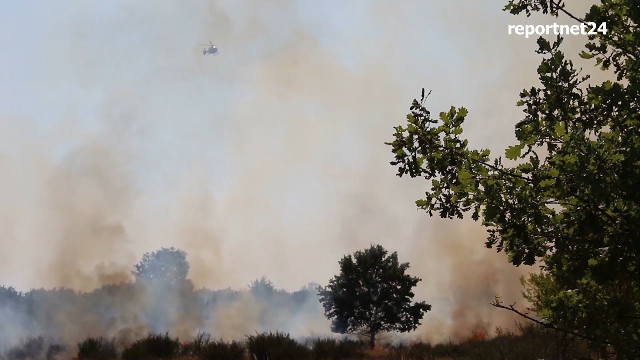 Feuerwehr löscht Großbrand in der Döberitzer Heide in Wustermark-Elstal