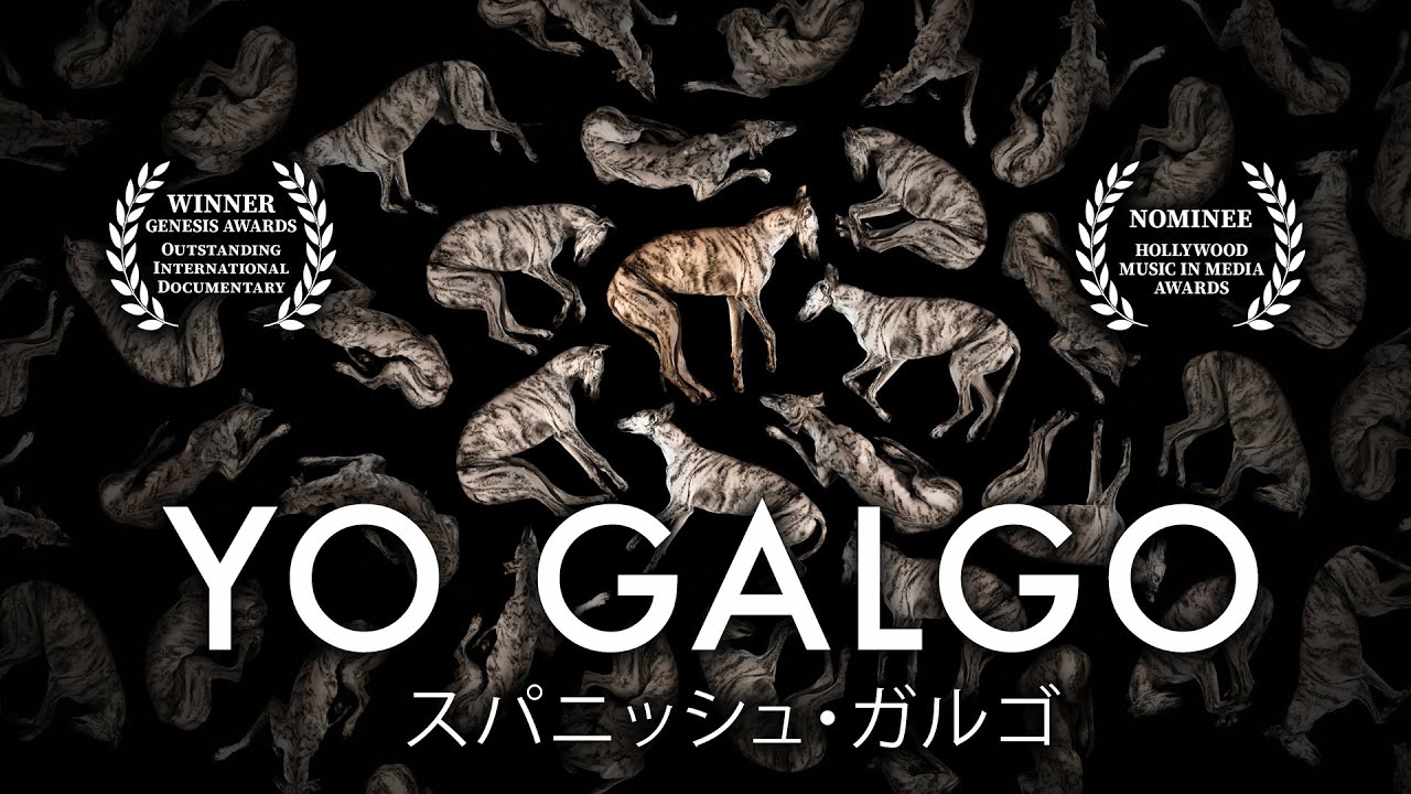 Yo Galgo - Full Documentary