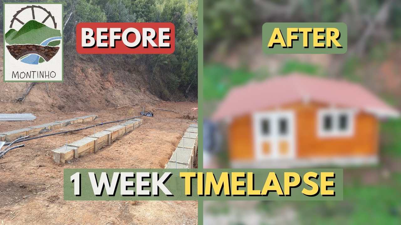 1 Week TIMELAPSE Building a WOODEN HOUSE | Abandoned Homestead Transformation