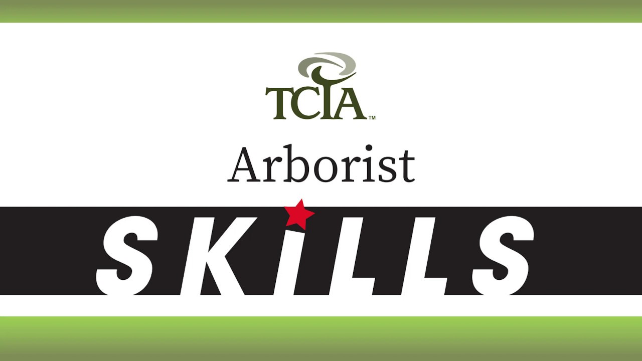 TCIA Arborist Skills: Tree inspection: A continuous process.