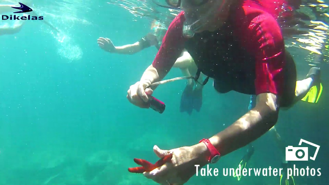 Snorkeling Petali Islands