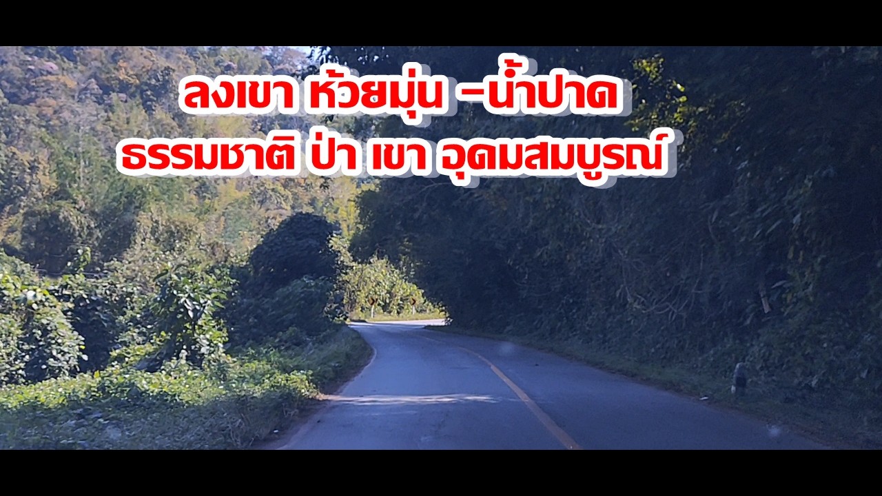 ห้วยมุ่น-บ้านโคก-น้ำปาด ลงเขา ธรรมชาติ ป่าเขา อุดมสมบูรณ์