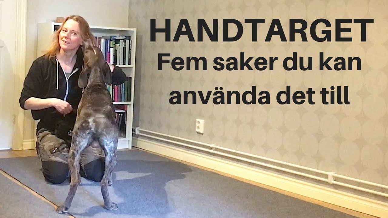 Fem saker du kan använda handtarget till