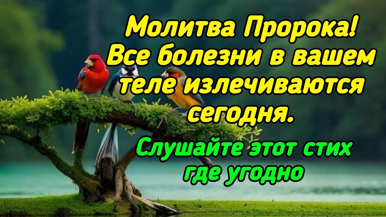 Молитва Пророка ❗️Сегодня все болезни в вашем теле будут исцелены