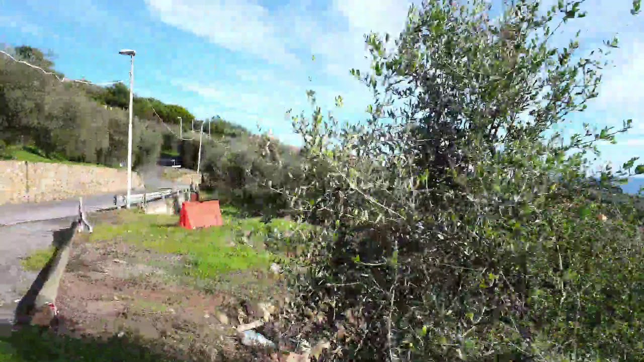 Serreta