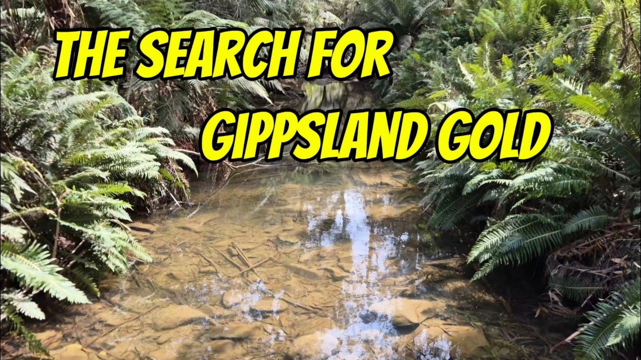 Finding my own gippsland gold
