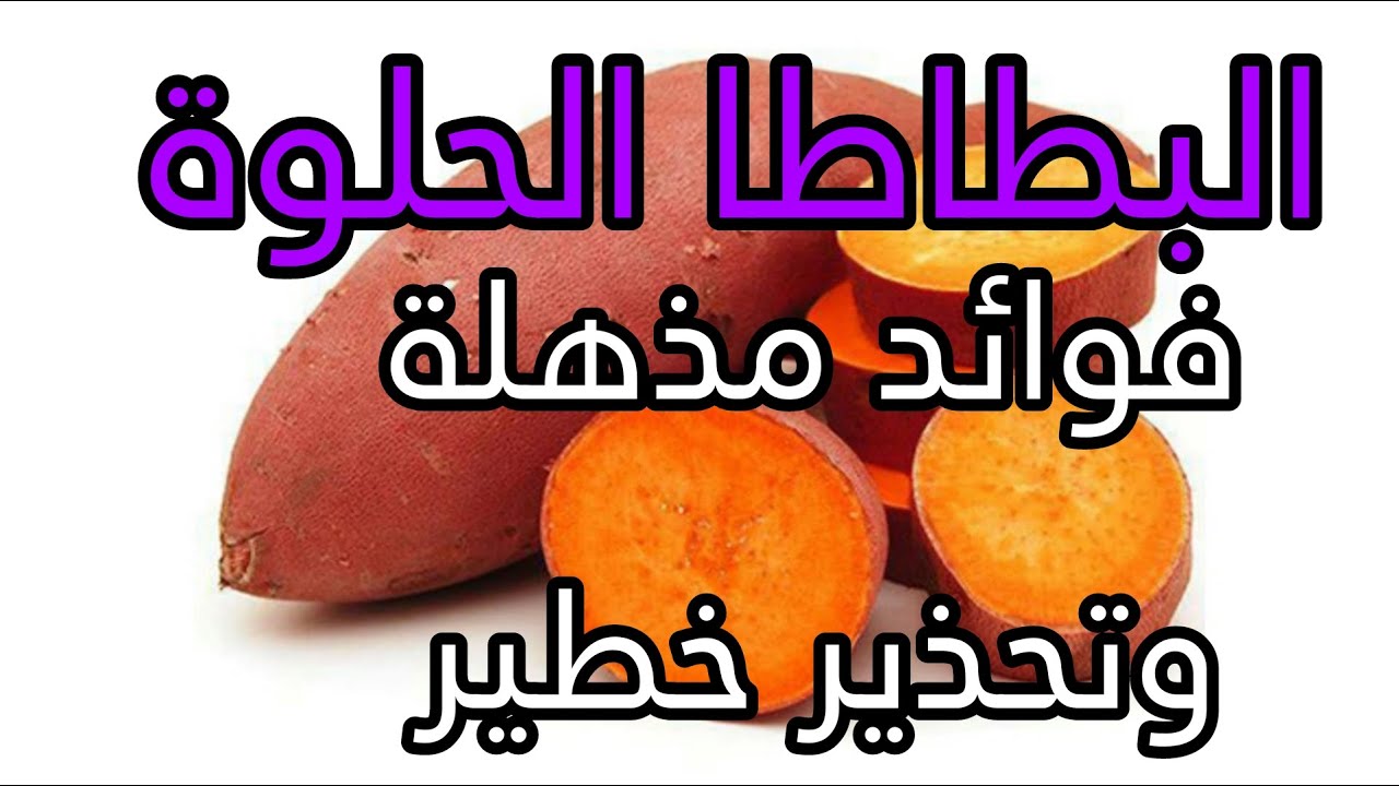 فوائد البطاطا لطيور الزينة وأضرار قاتلة اذا قدمتها بطريقة خاطئة