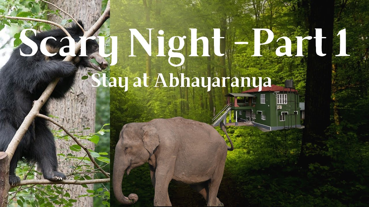 We Stayed Deep Inside Mudumalai Tiger Reserve , Abhayaranya Chital Cottage & wildlife sightings