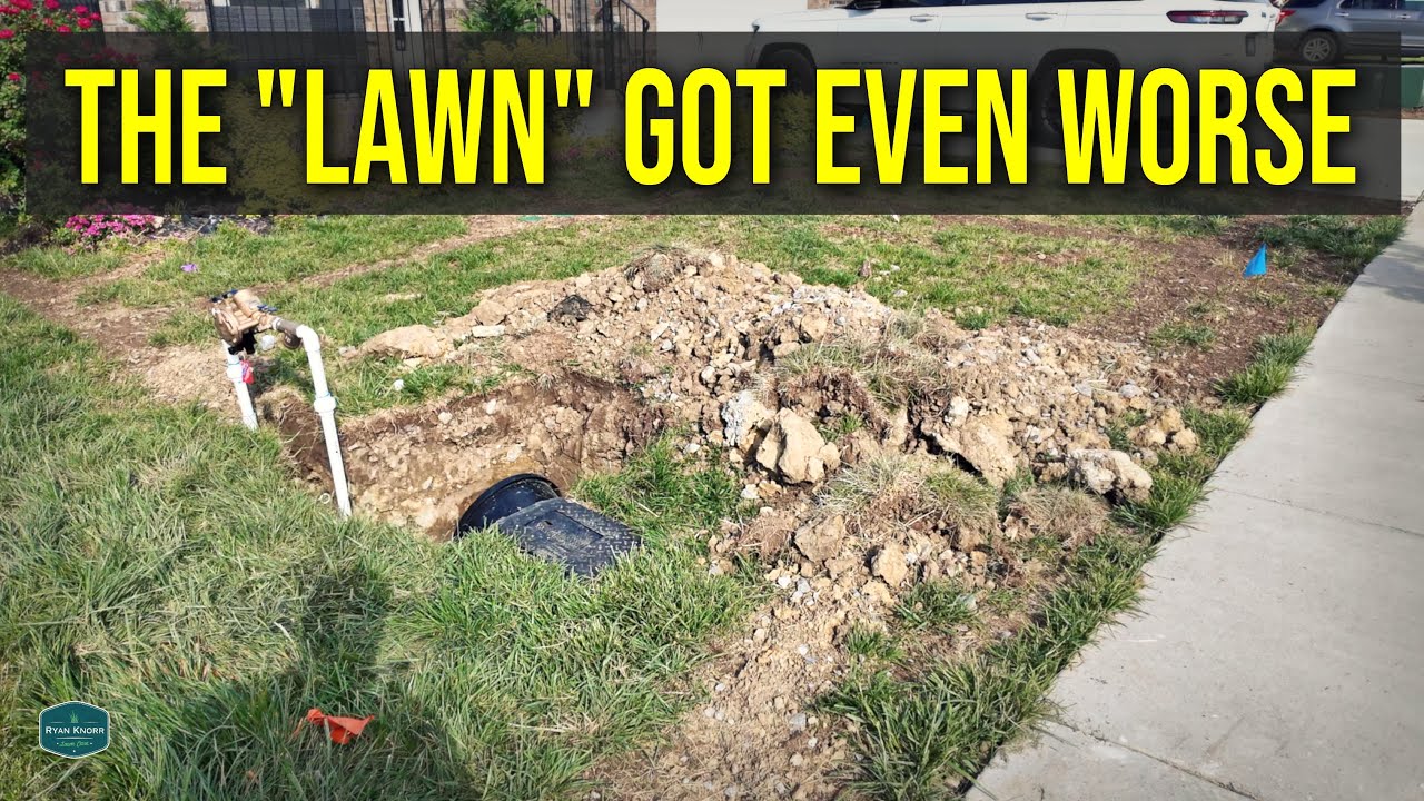 Lawn Rescue UPDATE // ONE Application That Helped But Irrigation Install Destroyed The Lawn