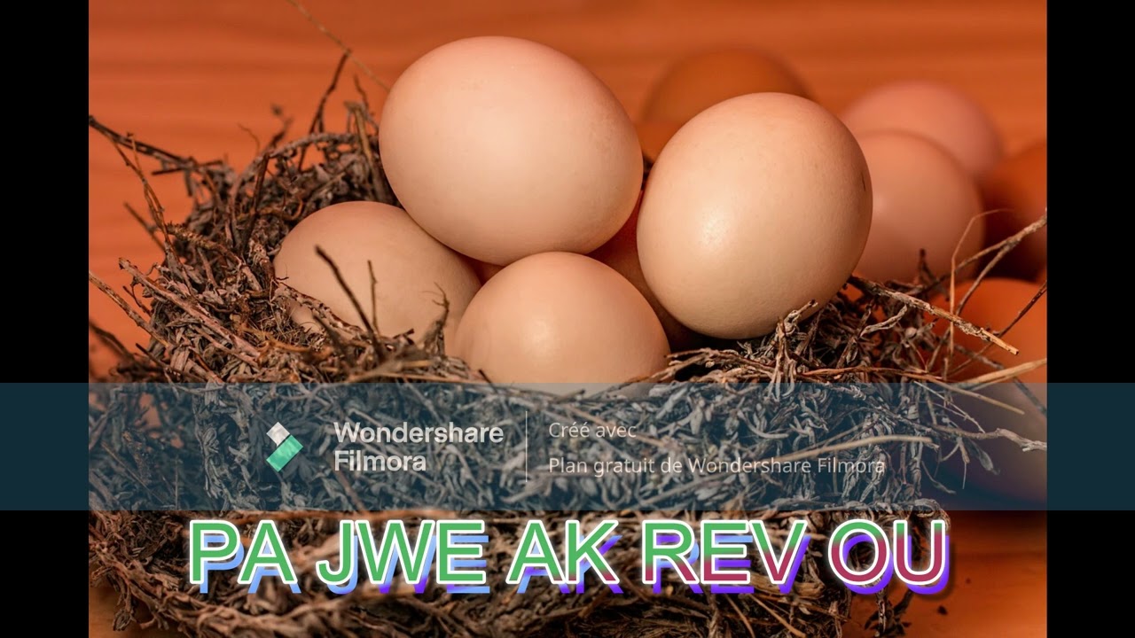 LE W REVE ZE PARTI 2