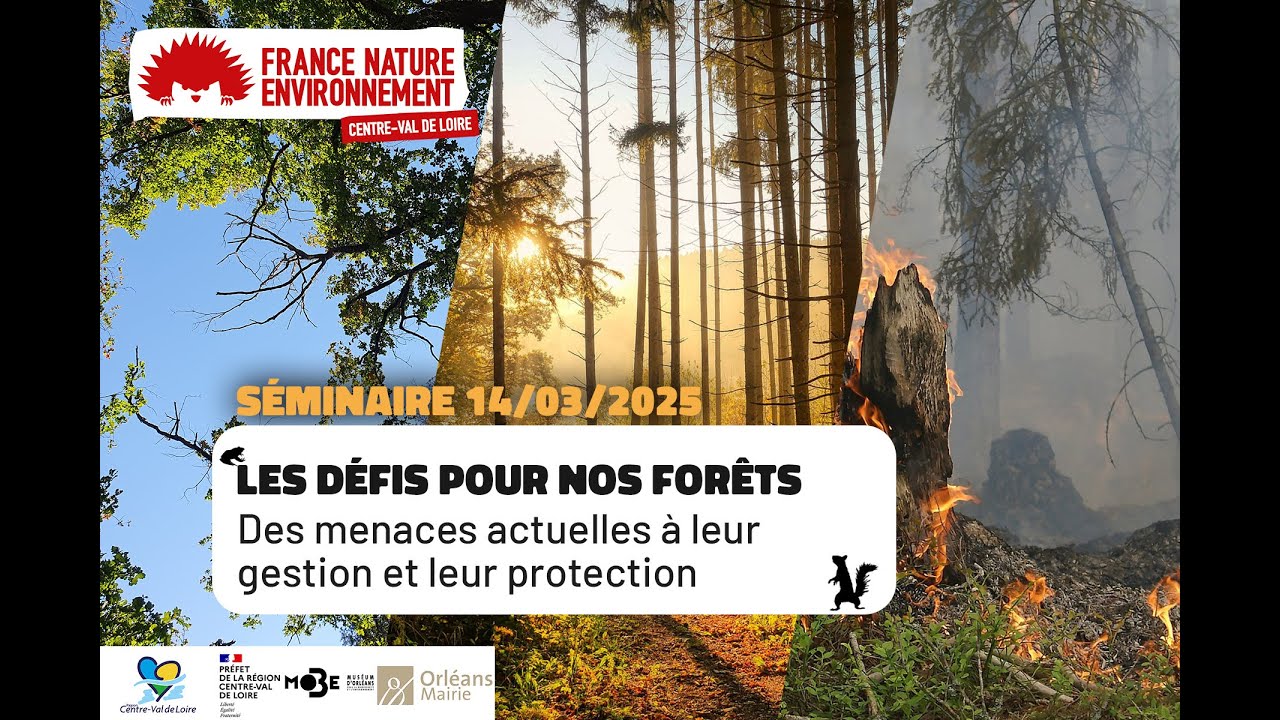 Introduction #1 Séminaire Forêt #biodiversité #changementclimatique #2025 #centrevaldeloire