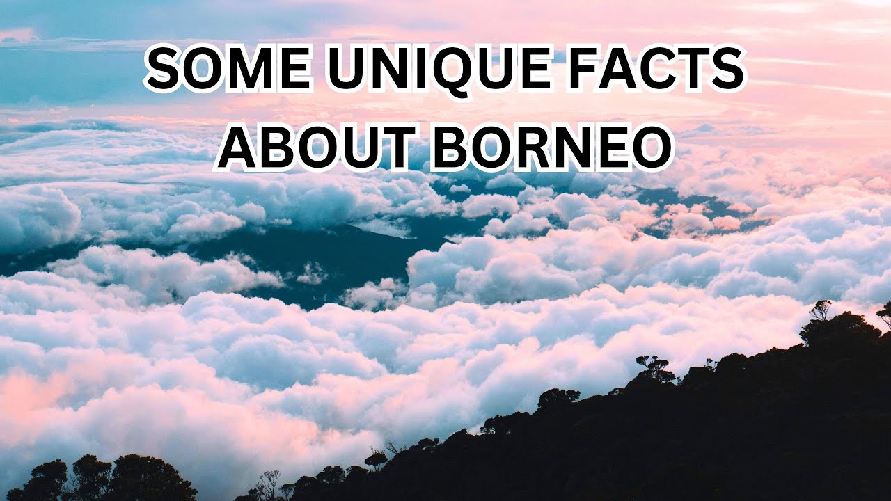 Some unique facts about Borneo - Factful Journey