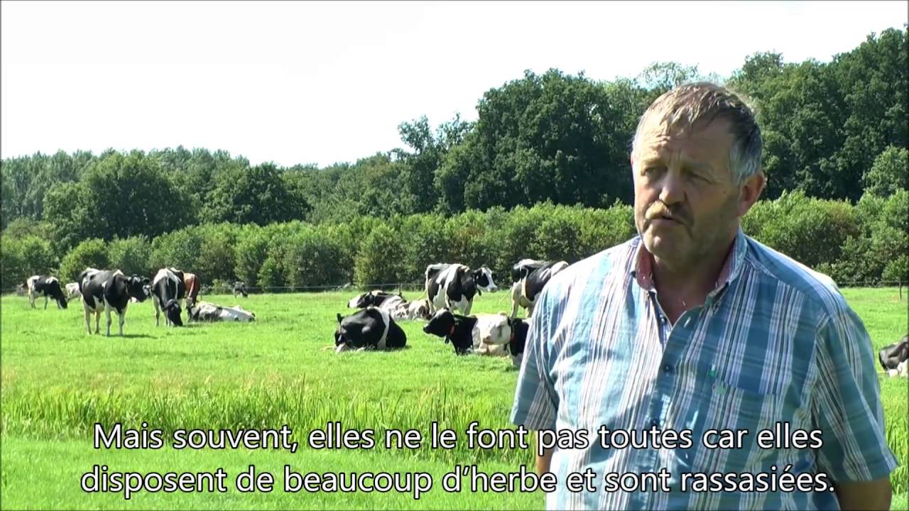 Rijk Lekkerkerker à propos de la traite robotisée et du pâturage