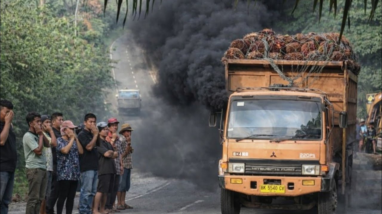 TRUCK MITSUBISHI FUSO 220PS MUATAN KELAPA SAWIT DENGAN TENAGA BADAK MELEWATI TANJAKAN INI 