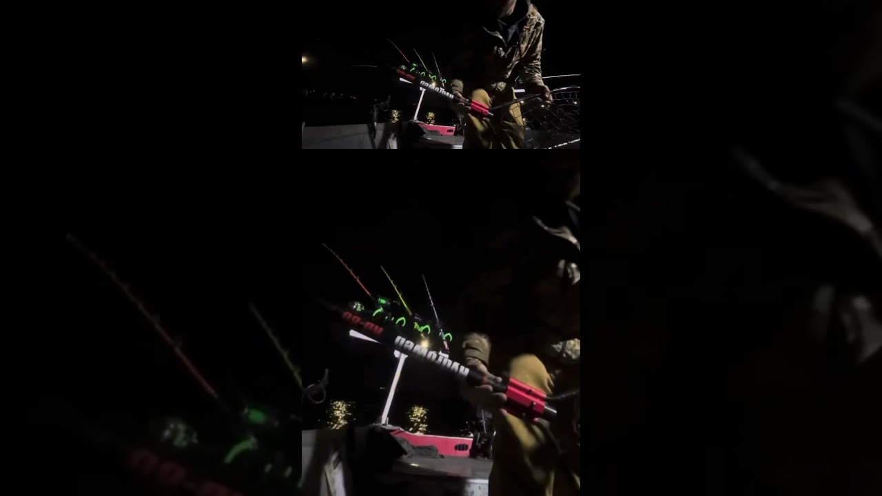 @monsterrodholders Hydro Web 80 , best net out there , link in description