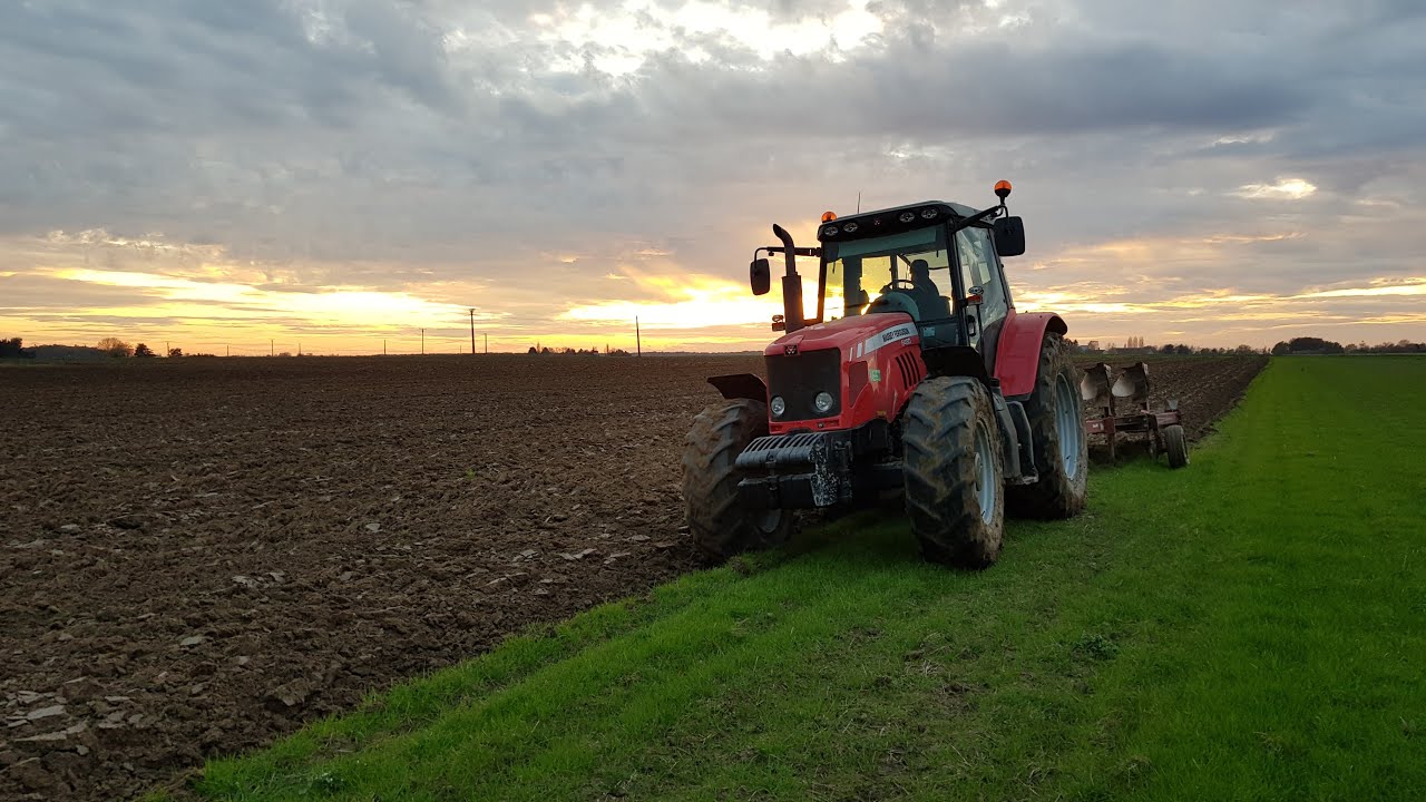 Travail de nos sols avant et après semis, Massey Ferguson 6480, 6170 🚜🌾