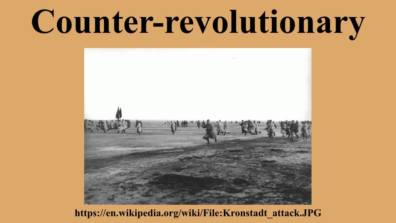 Counter-revolutionary