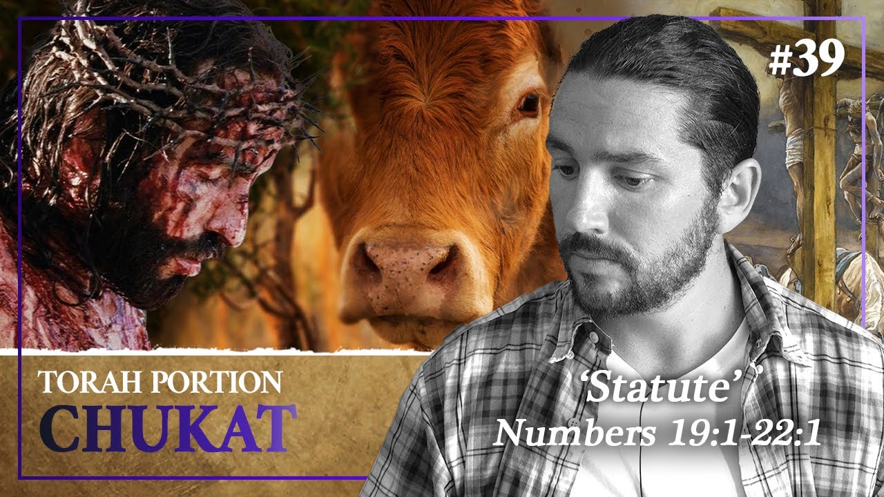 The Messianic Patterns In The Red Heifer Sacrifice - Torah Portion Chukat