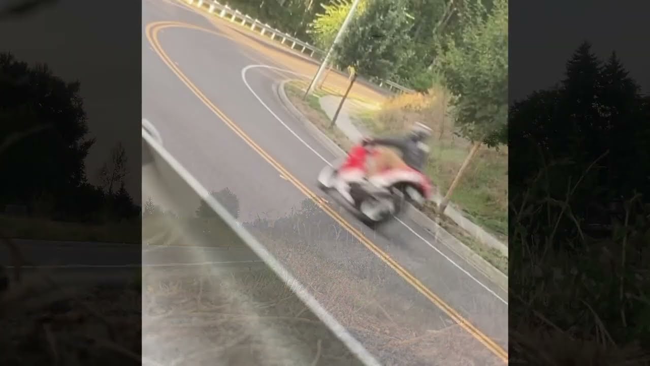 1987 Honda NSR250 MC16 for sale USA