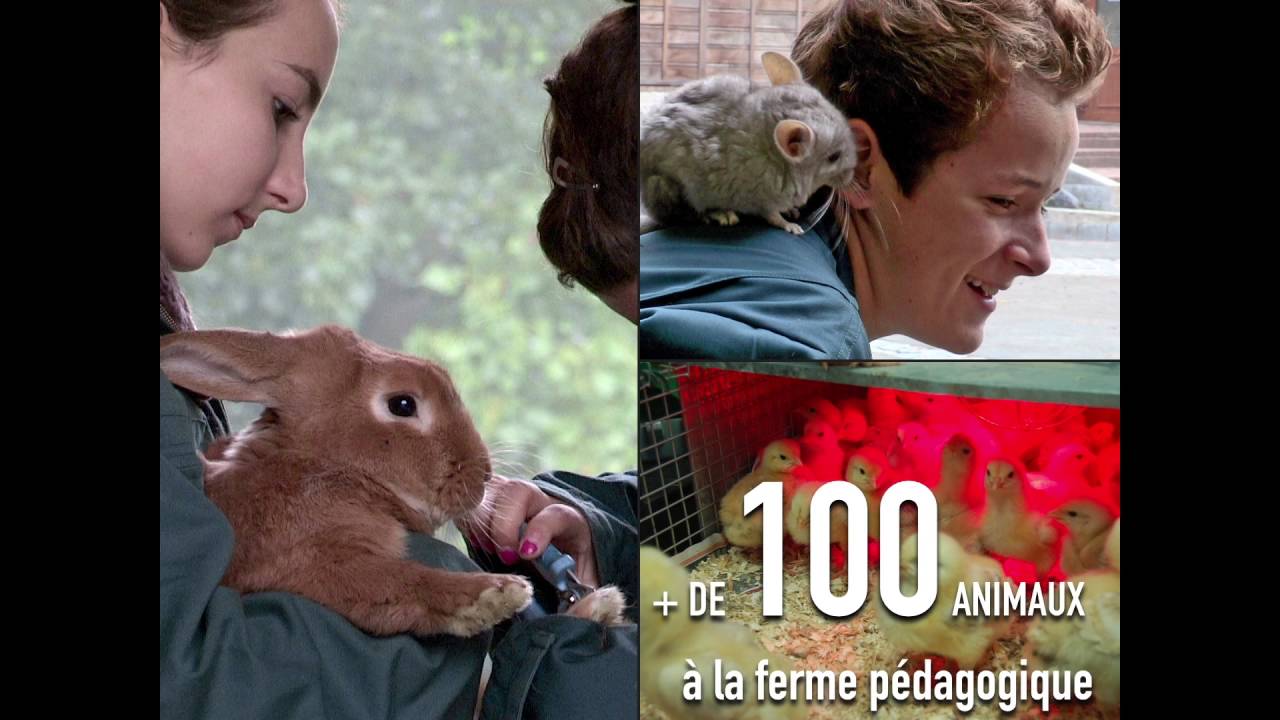 L'Institut de Genech en chiffres clefs !