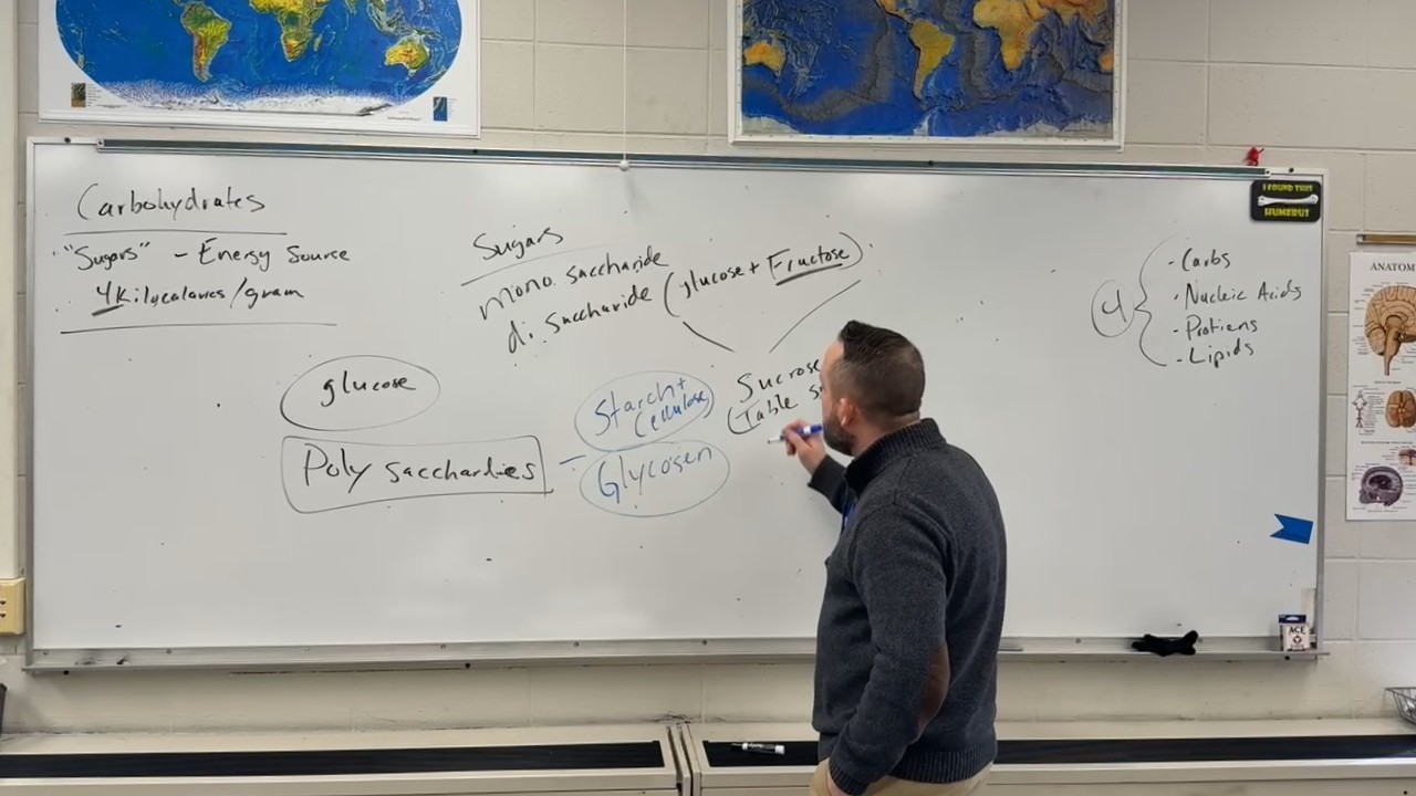 Ch.3 Part 2 Molecules of Life
