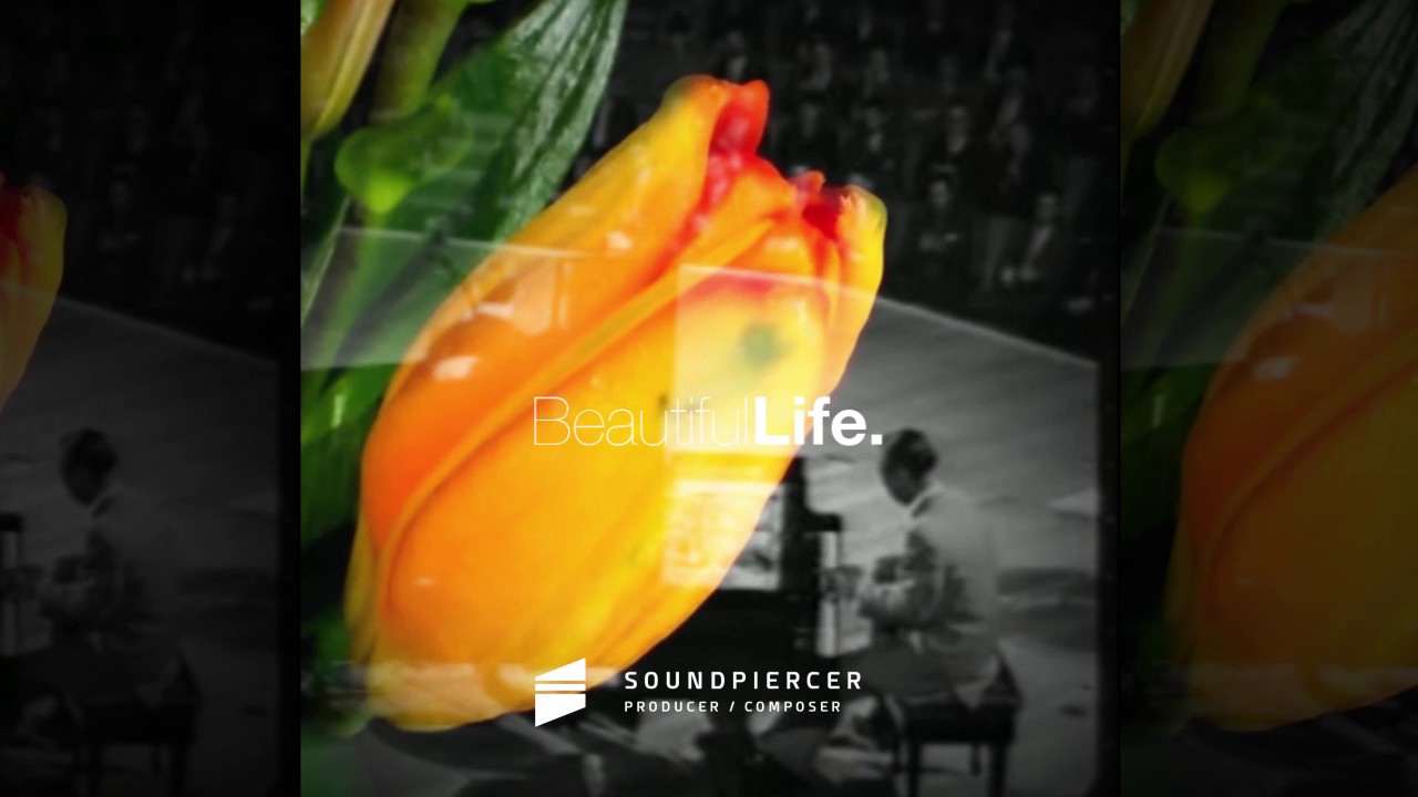 [House Music] Sound piercer - Beautiful Life (Radio Mix)