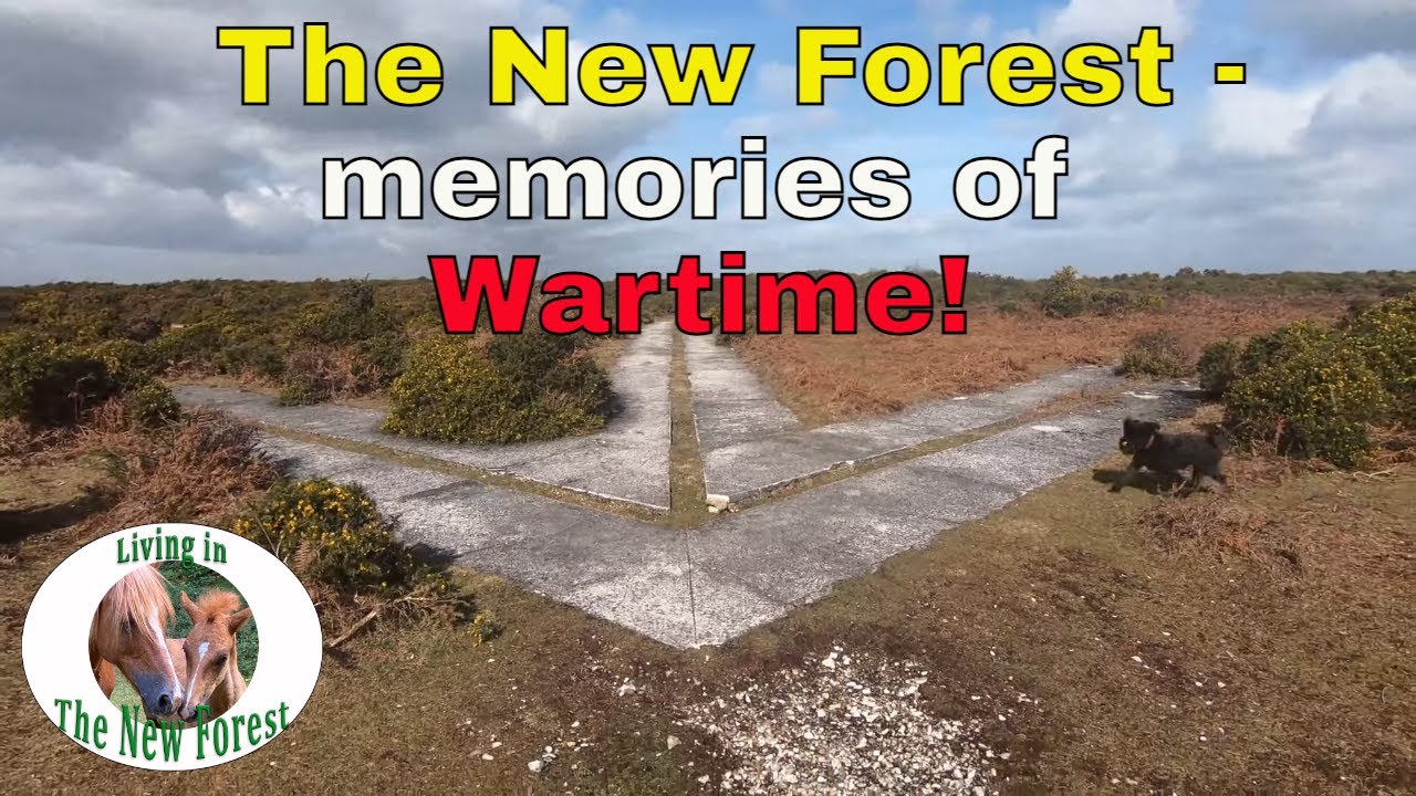 5 locations where The New Forest helped the war effort - that you can see today!  