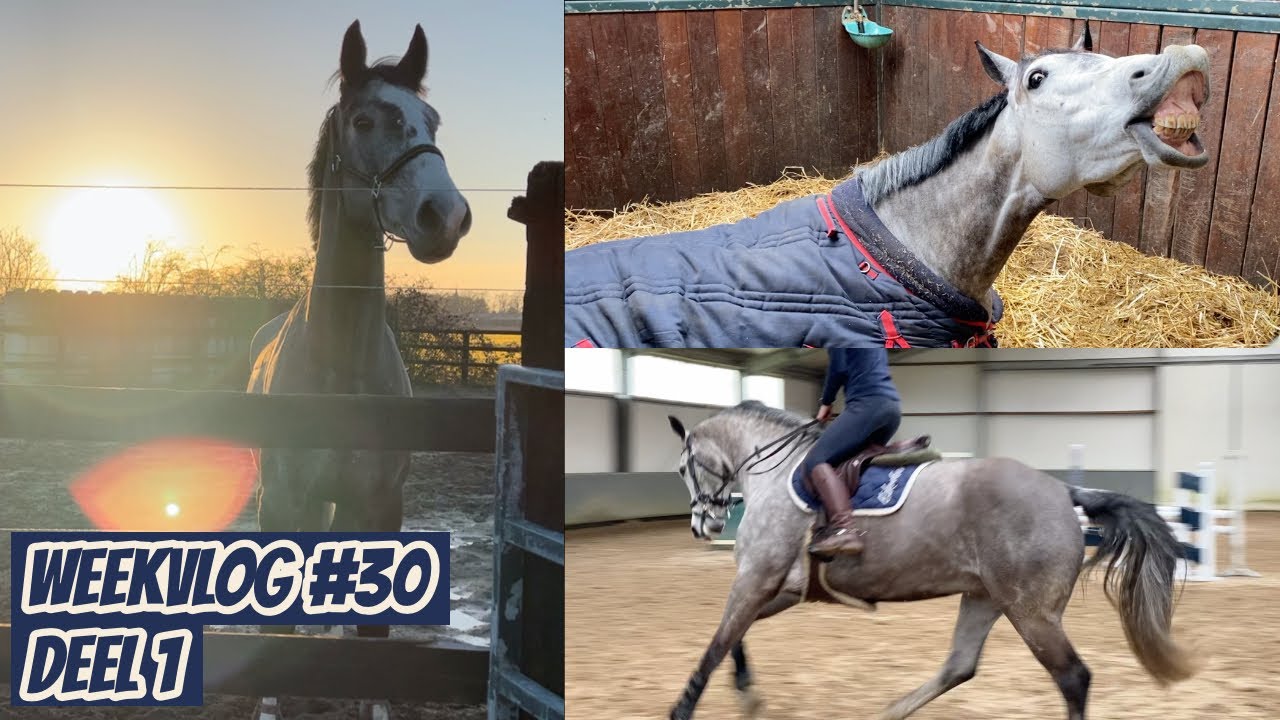 ENGE HINDERNISSEN & PRINCE VERKOCHT | Weekvlog 30 deel 1 | Horses by Demi