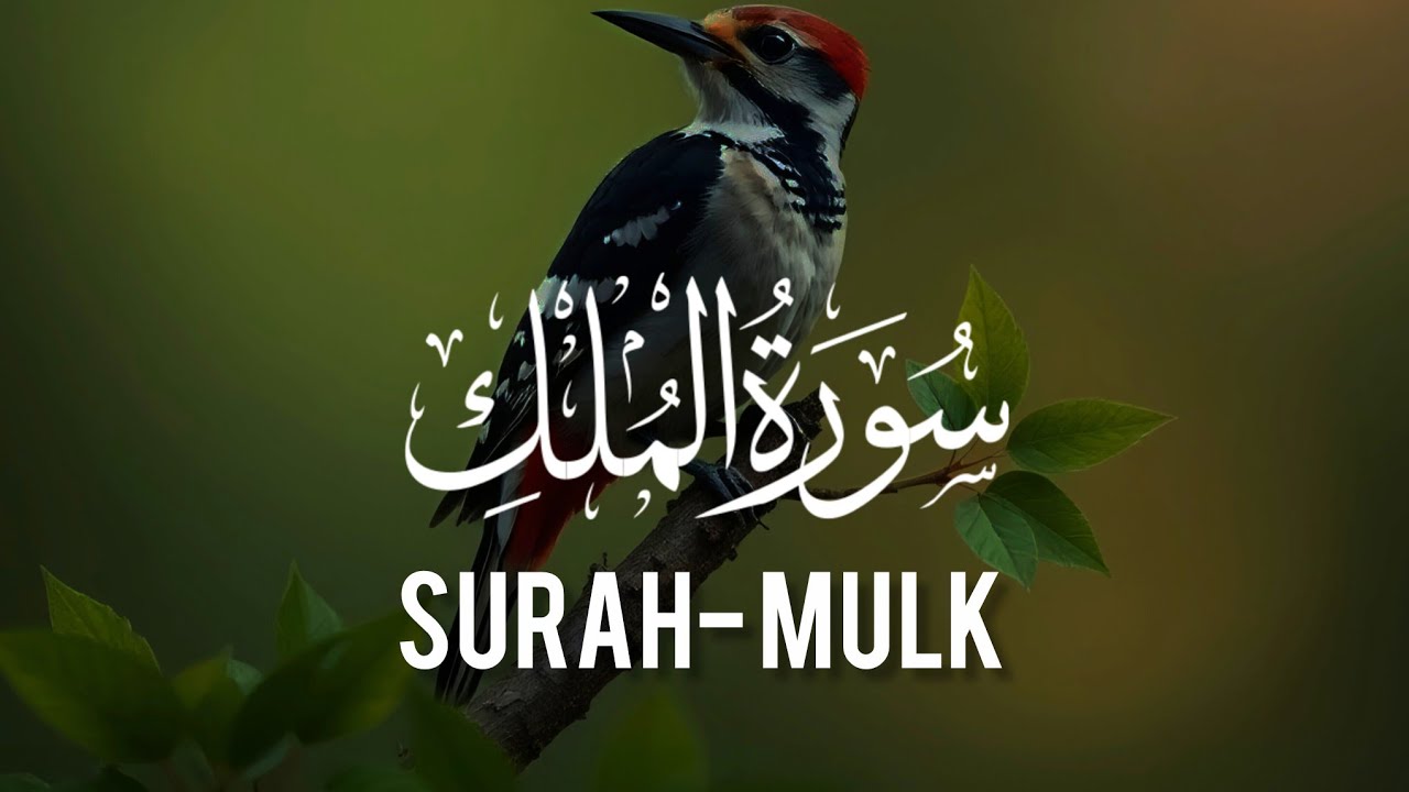 Most beautiful Quran recitation || sheikh Abdul Rahman Mossad | Surah Al-mulk 