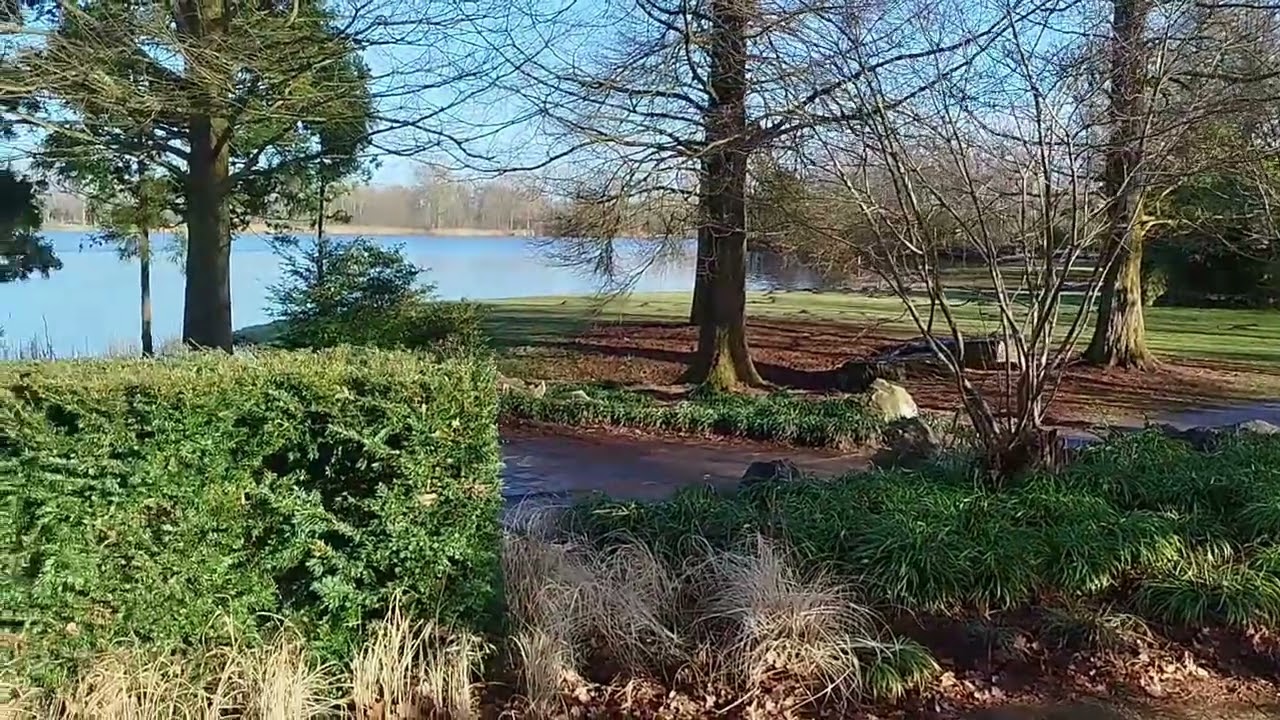 haarlemmermeersebos
