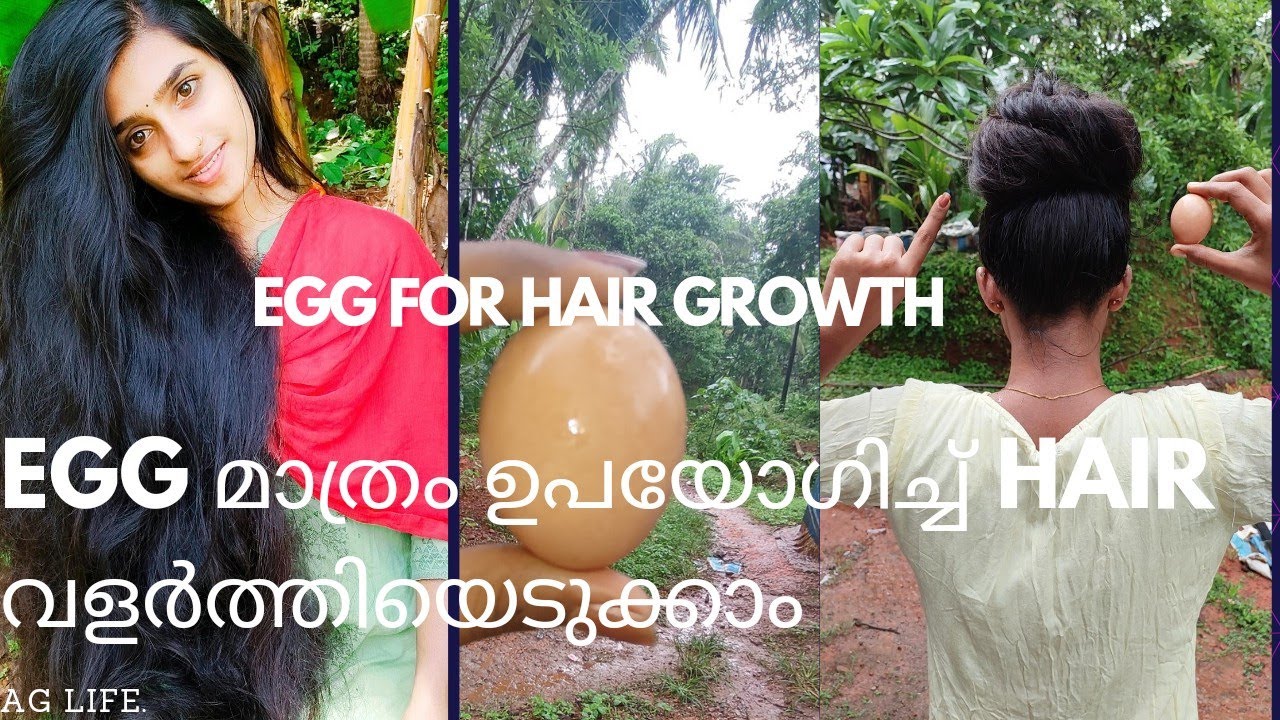 മുടി കരുത്തോടെ വളർത്താം | egg for hair growth