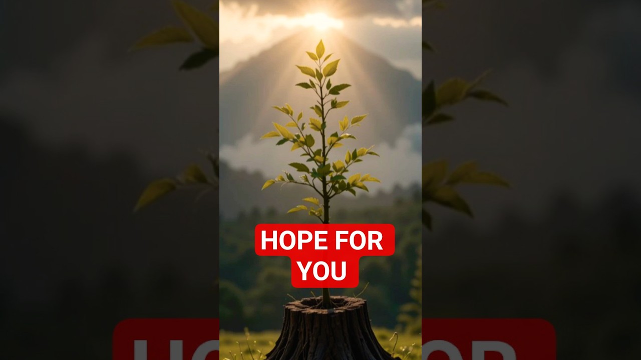God Has a Word for You Today | Hope for You #faith #motivation #jesus#hope #prayer