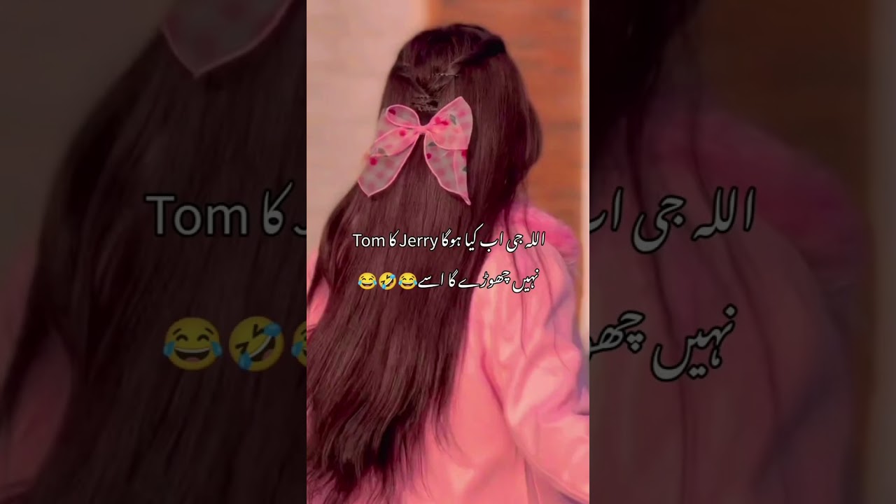 𝐖𝐞𝐡𝐬𝐡𝐚𝐭 𝐞 𝐉𝐮𝐧𝐨𝐨𝐧/𝐩𝐚𝐫𝐭10💗