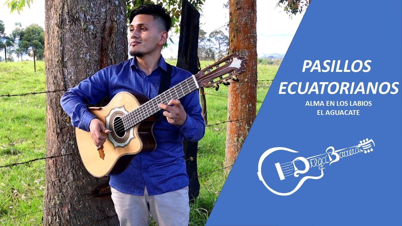 PASILLOS INSTRUMENTALES EN REQUINTO (Alma en los labios - El aguacate) DIEGO BARRERA