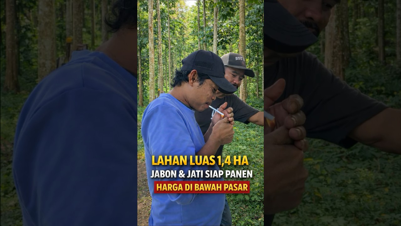 ±1,4 Hektare Tanah Produktif di Sukajaya – Jonggol, Bogor Timur 