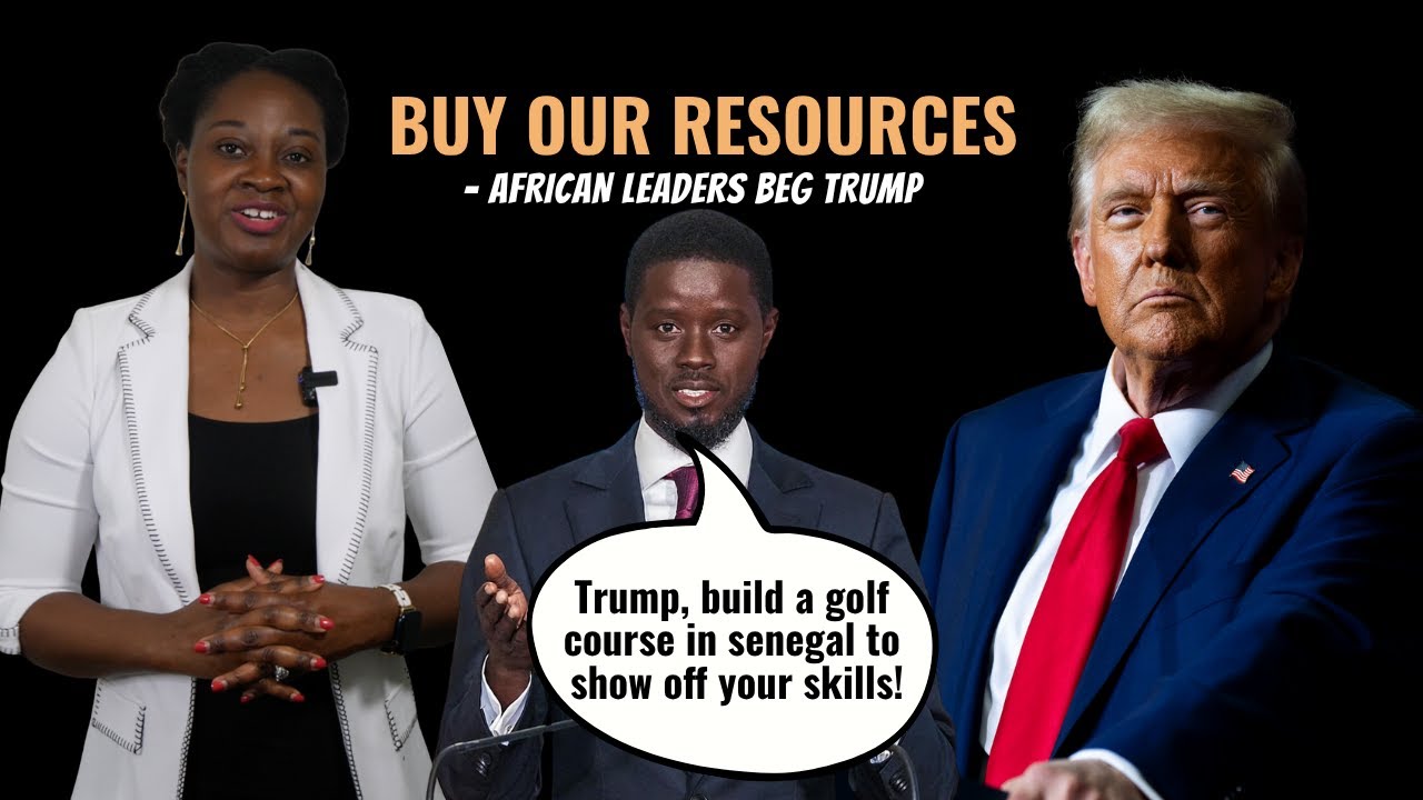 African Leaders Beg Trump To Buy Their Resources