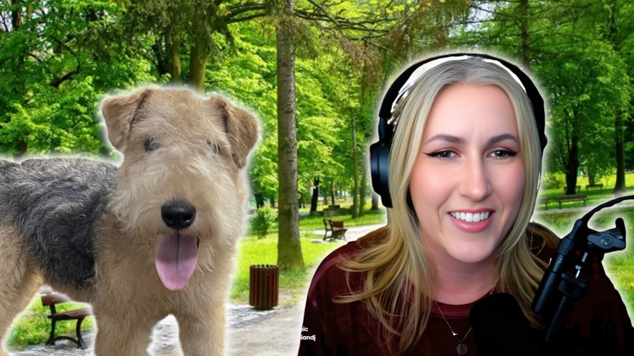 Прогулки Барнаби и предстоящее спонсорство!