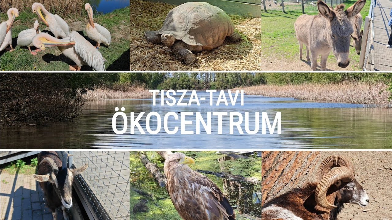 2024-04-03_Poroszló, Tisza-tavi Ökocentrum