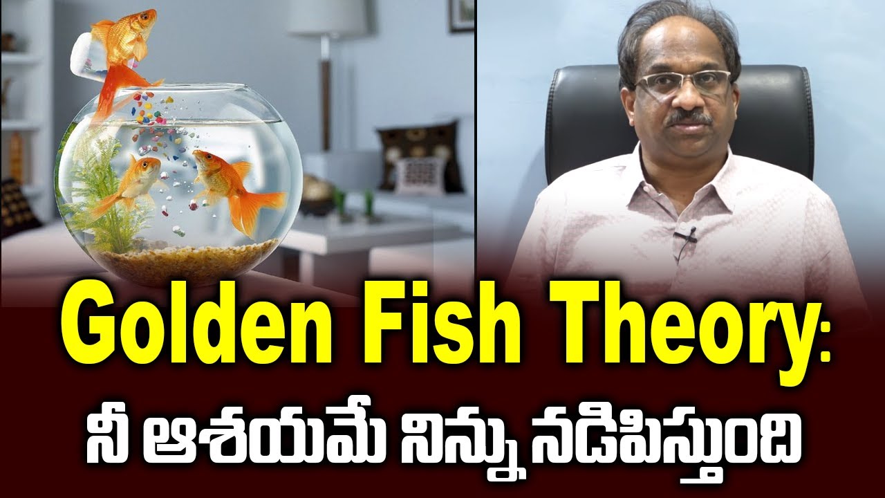 Golden Fish Theory: నీ ఆశయమే నిన్ను నడిపిస్తుంది || Fish Tank Philosophy Drives You ||