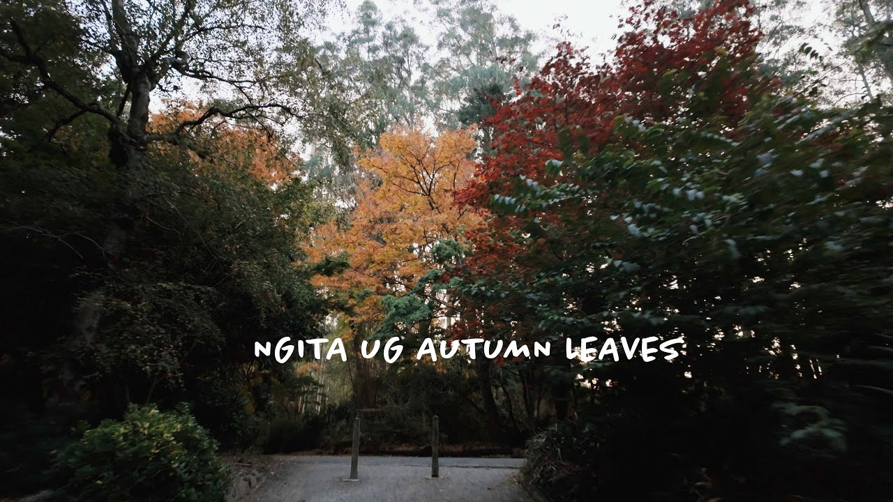 BISAYA BAI! - ngita ug autumn leaves