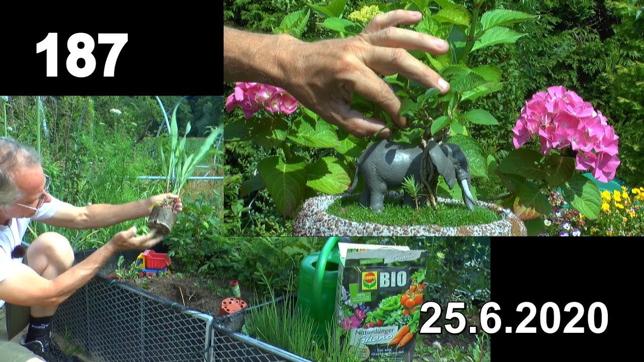 Im Garten arbeiten und Garten anders erleben in seiner Vielfalt. Bäume kann man erziehen