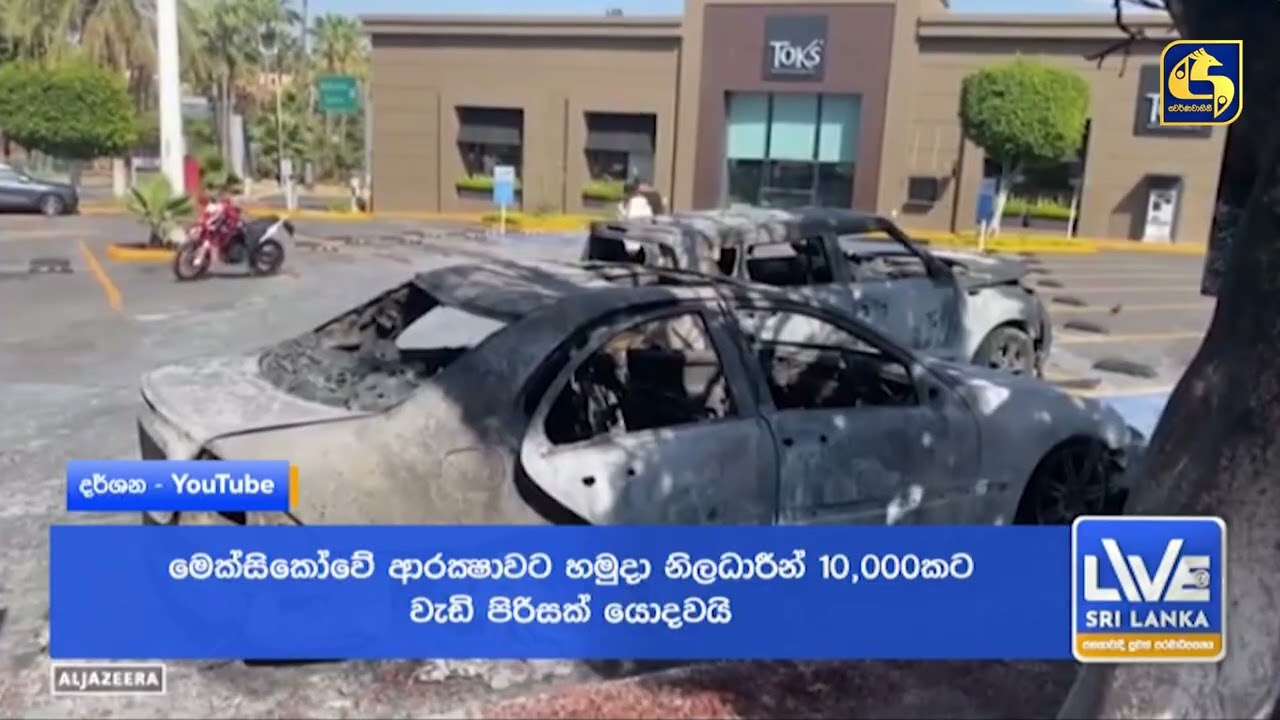 සති දෙකක් තුළ සත්වෝද්‍යානයක ව්‍යාඝ්‍රයින 72ක් මිය ගිහින්