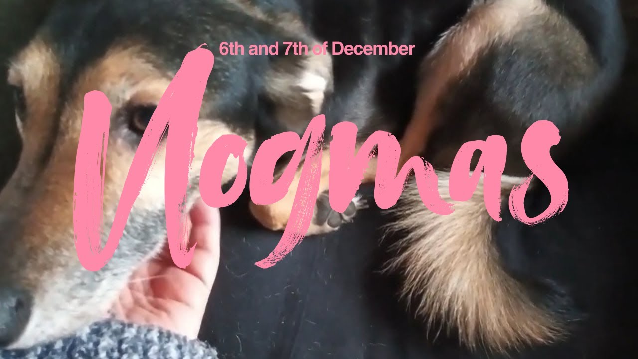 #vlogmas Day 6 and 7 - introducing the pets, baking cookies and journal play