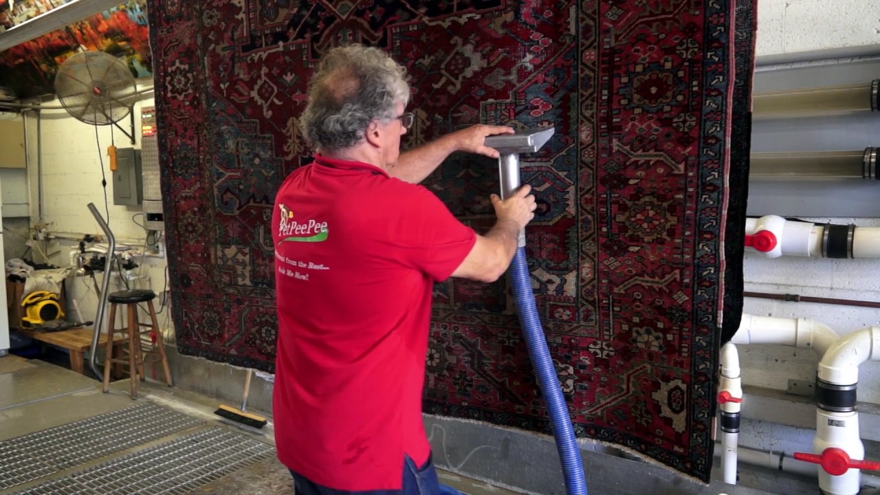 Cleaning cat urine odor from Antique Oriental rug by PetPeePee Service